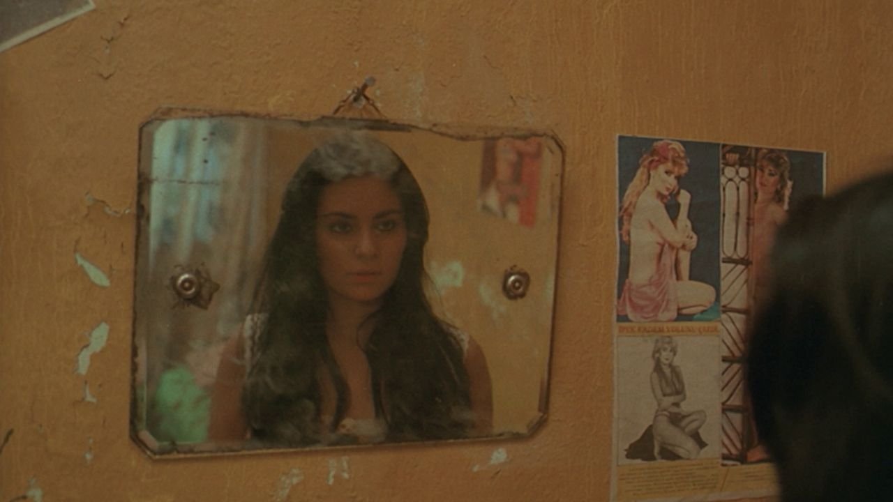 Number 14 Background