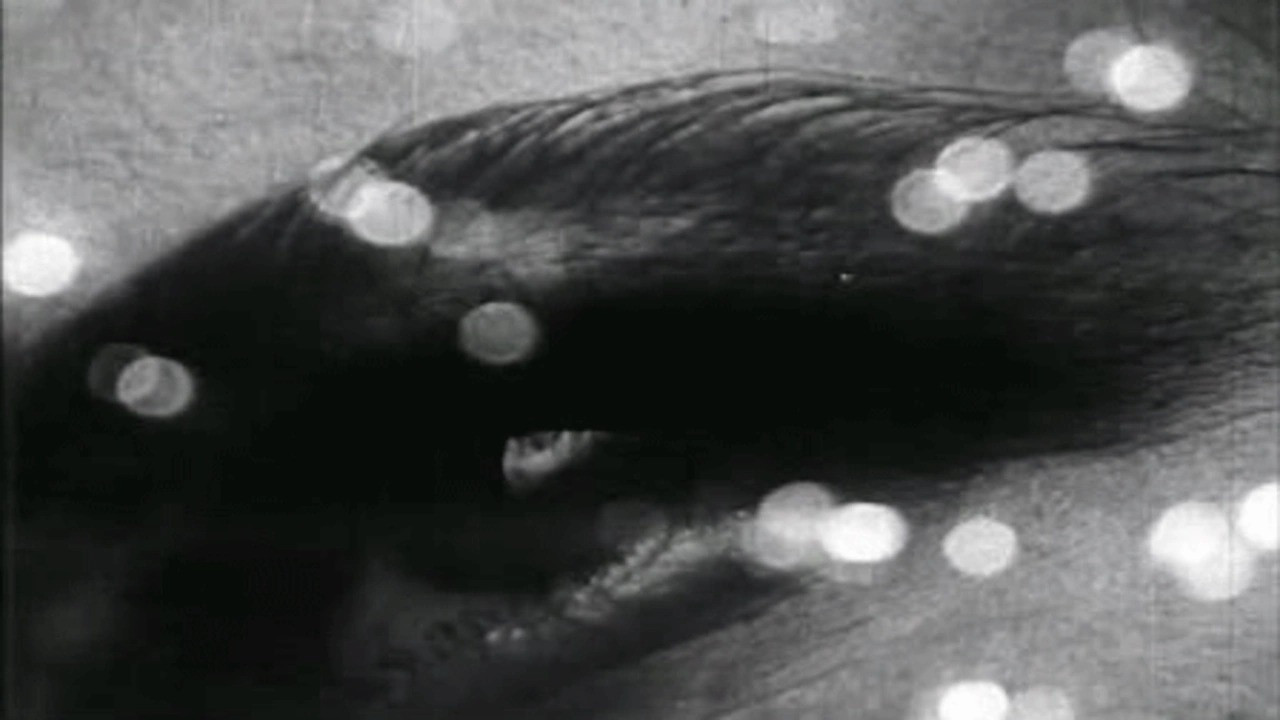 Triptych on Matter and Death Background