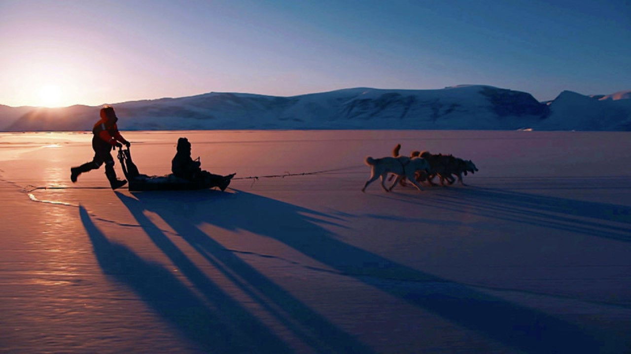 L'appel de la banquise Background