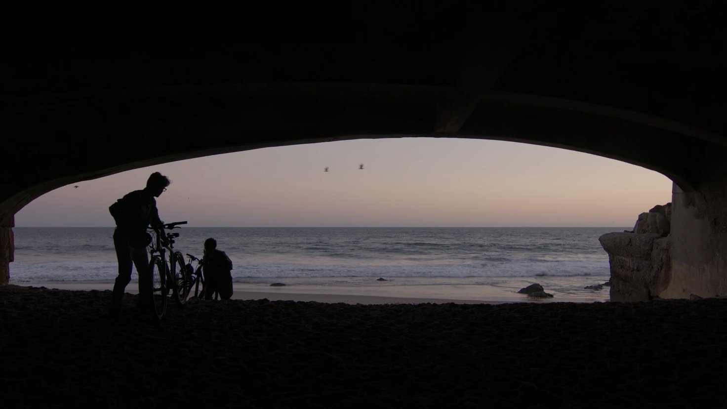 Deleting Daisy Petal Background