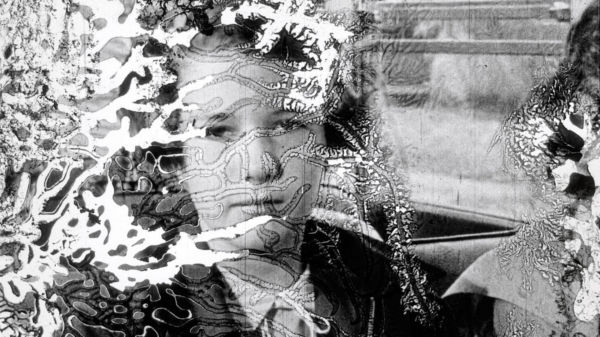 Decasia: The State of Decay Background