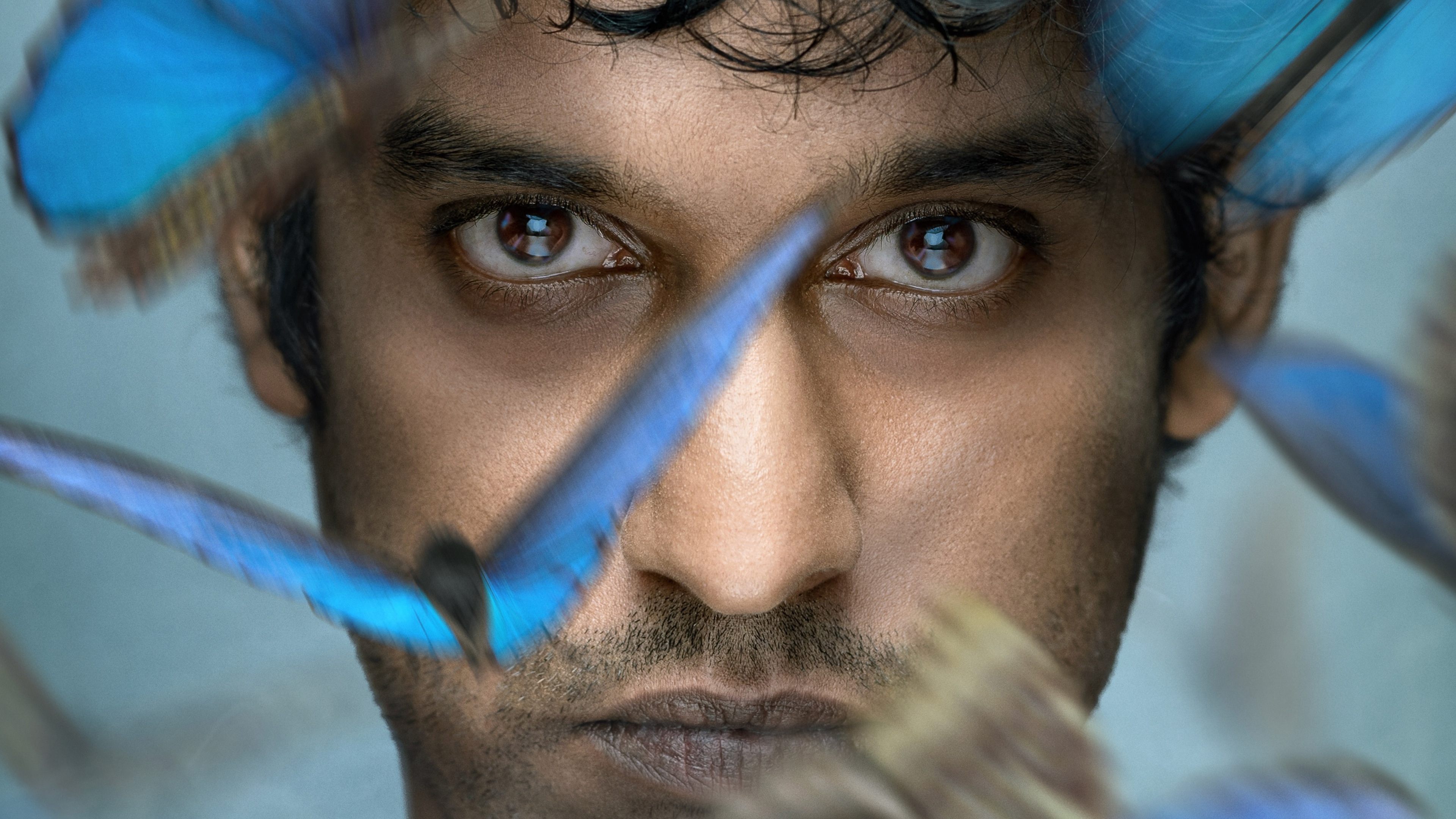 Wakefield Background