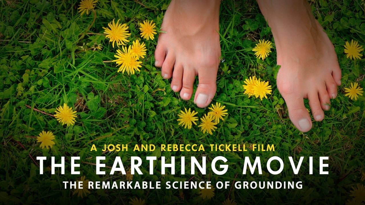 The Earthing Movie Background