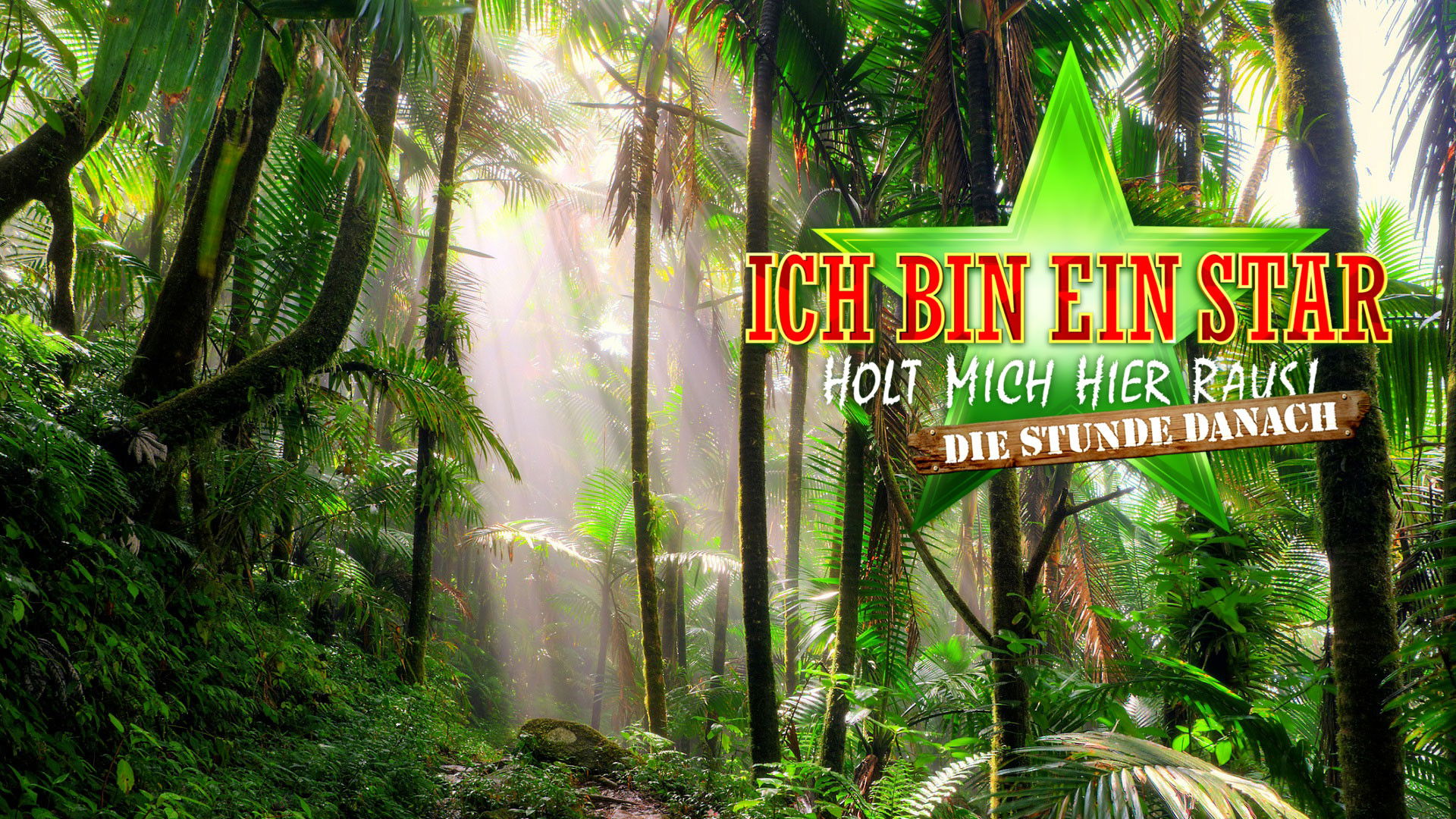 Ich bin ein Star – Holt mich hier raus! Die Stunde danach Background