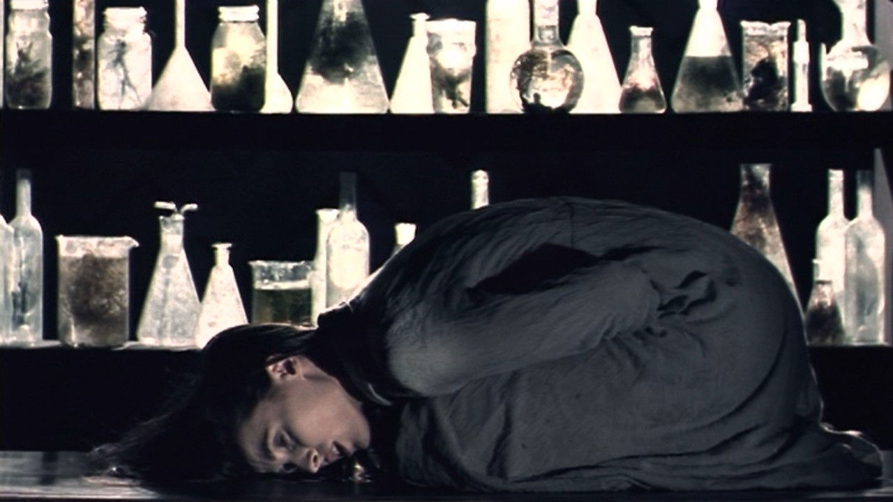 Thief or Reality Background