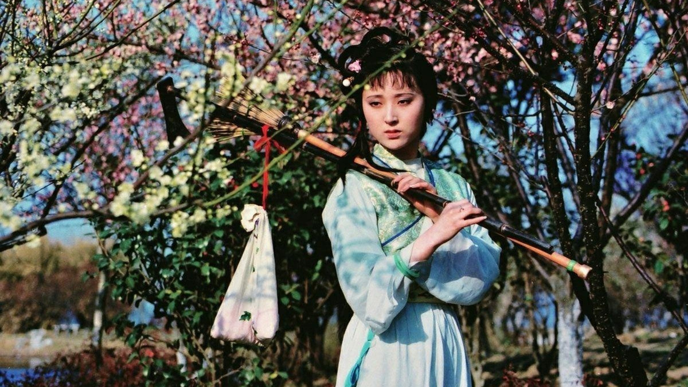 Dream in Red Mansions Background