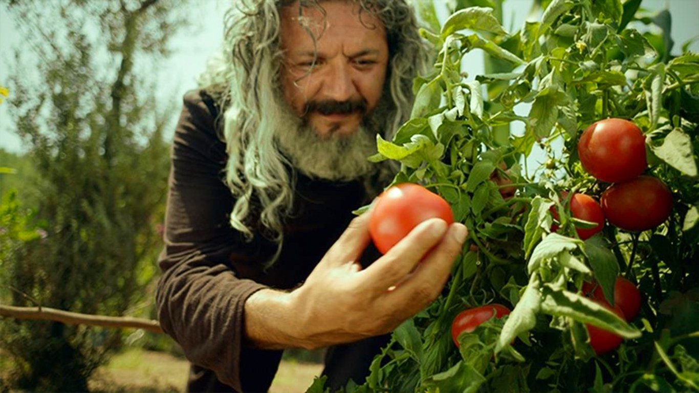 Mandıra Filozofu Background