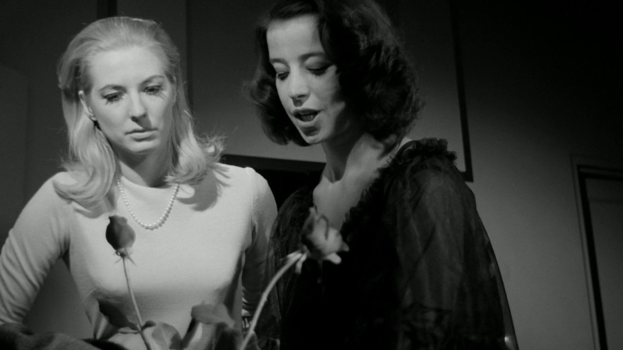 Red Roses of Passion Background