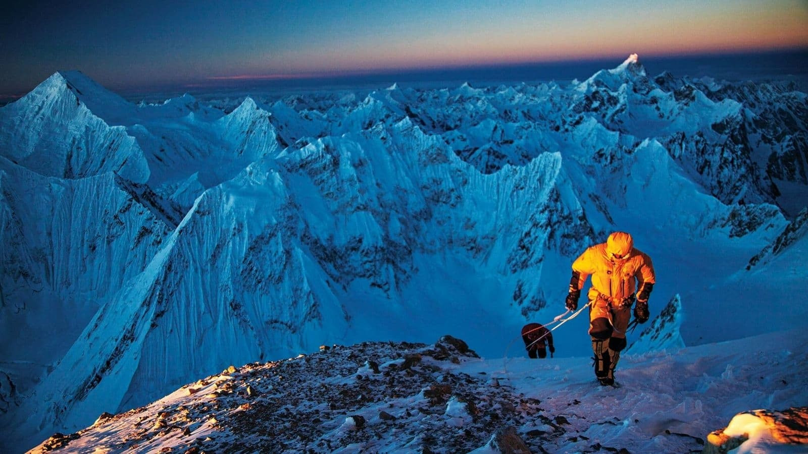 Best Of E.O.F.T. No. 8 Background