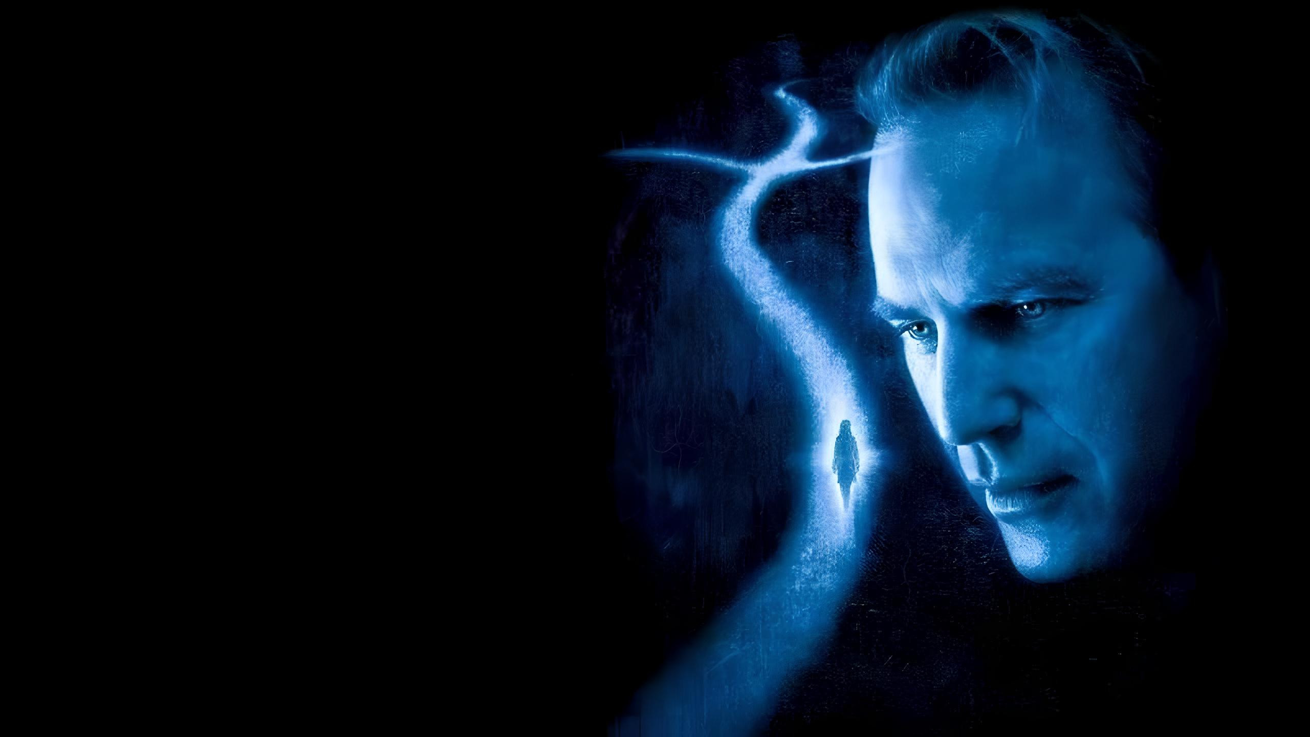 Dragonfly Background