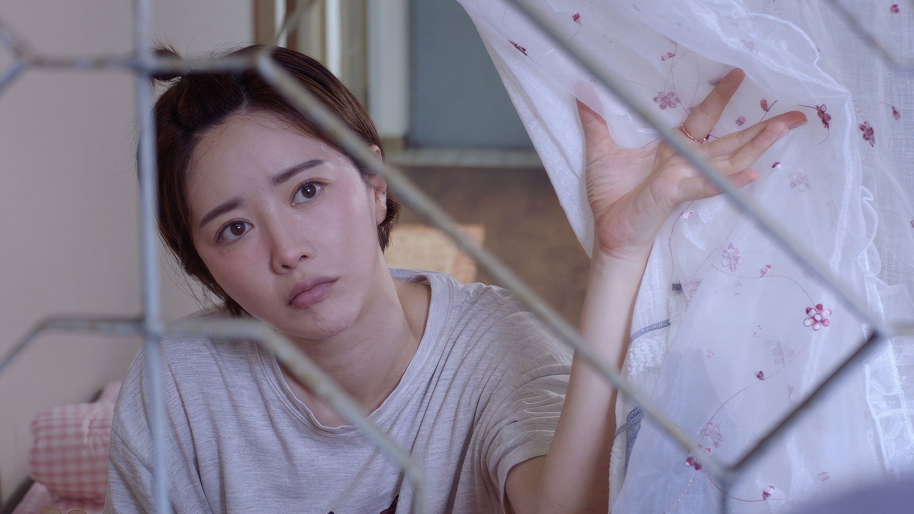 Butterfly Effect Background