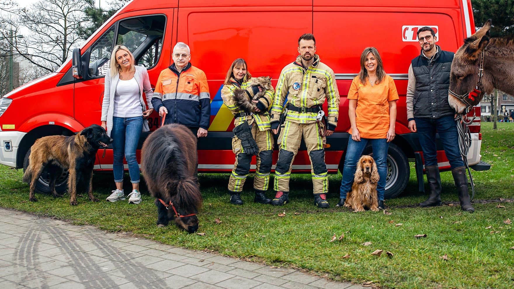 Véto and Co Background