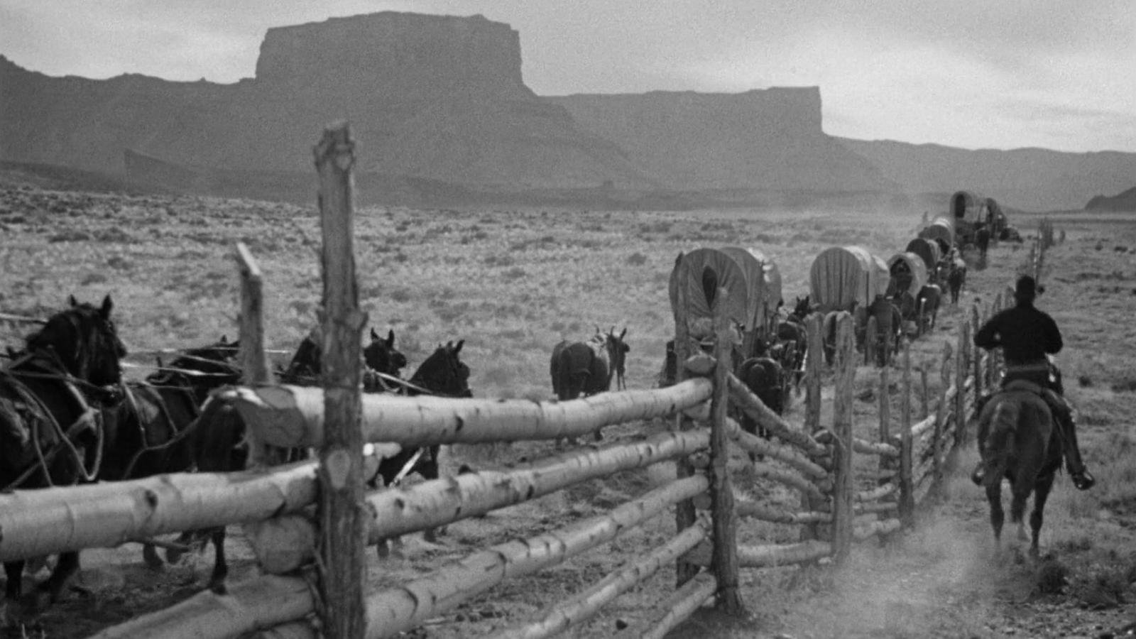 Wagon Master Background