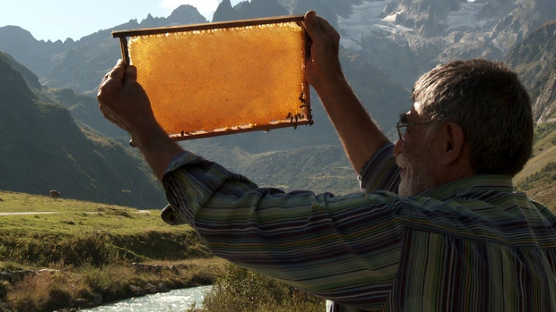 Der Imker Background