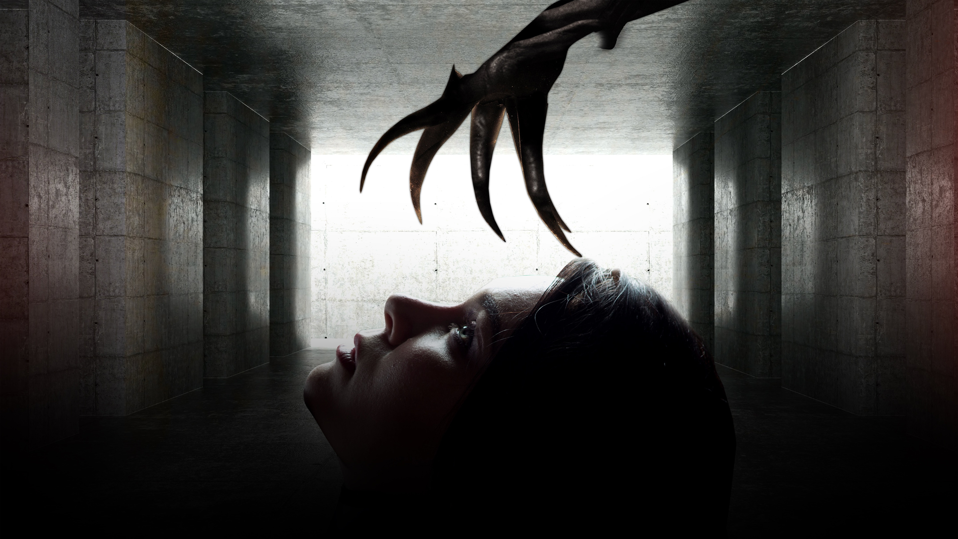 Bring Me a Dream Background