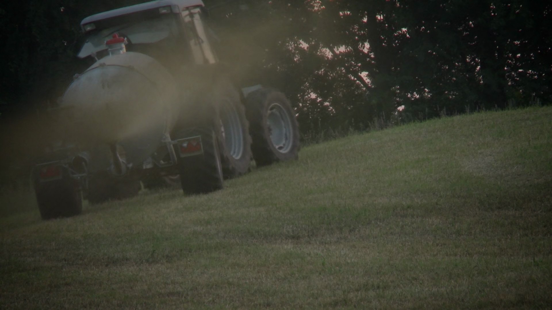 H.O.P.E.: What You Eat Matters Background