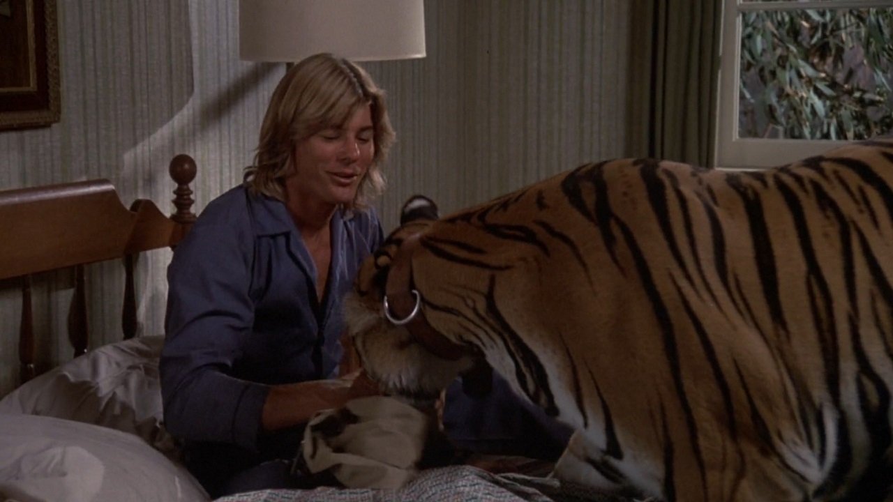 The World's Greatest Athlete Background