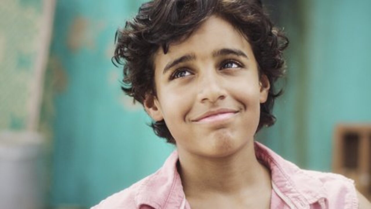 Dreams Are Like Wild Tigers Background