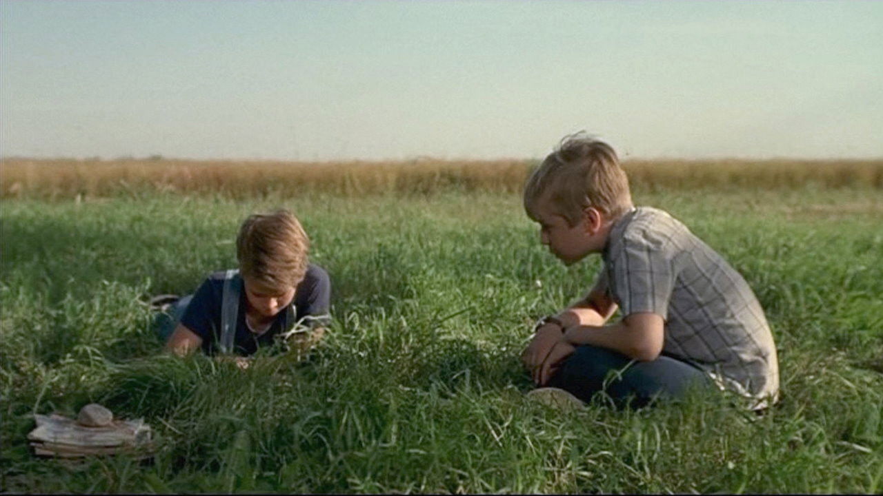 The Nature of Nicholas Background