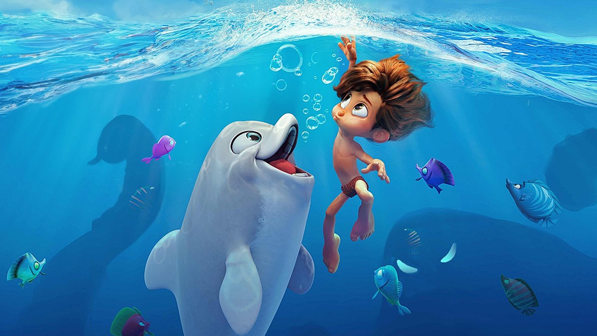 Dolphin Boy Background