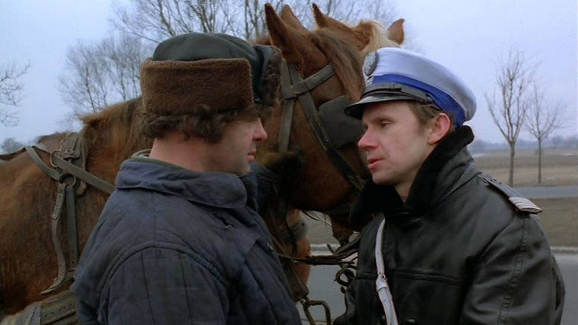 Teddy Bear Background