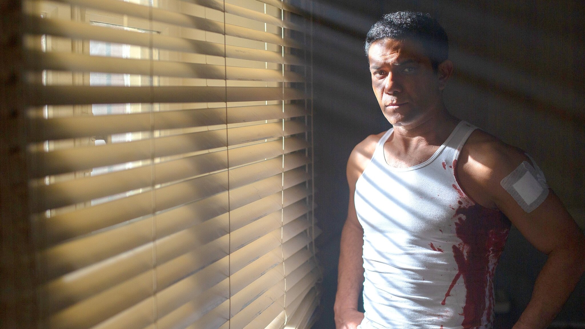 Echoes of the Past Background