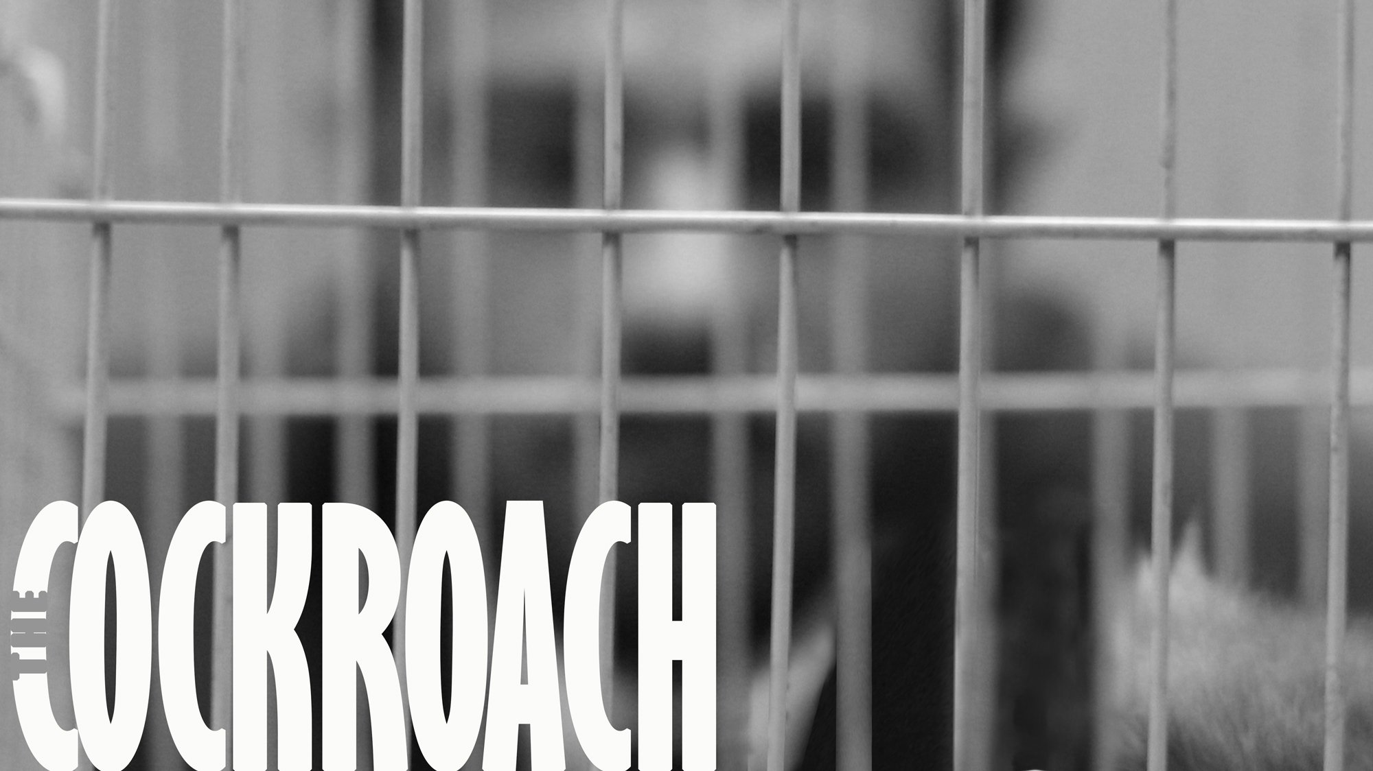 The Cockroach Background