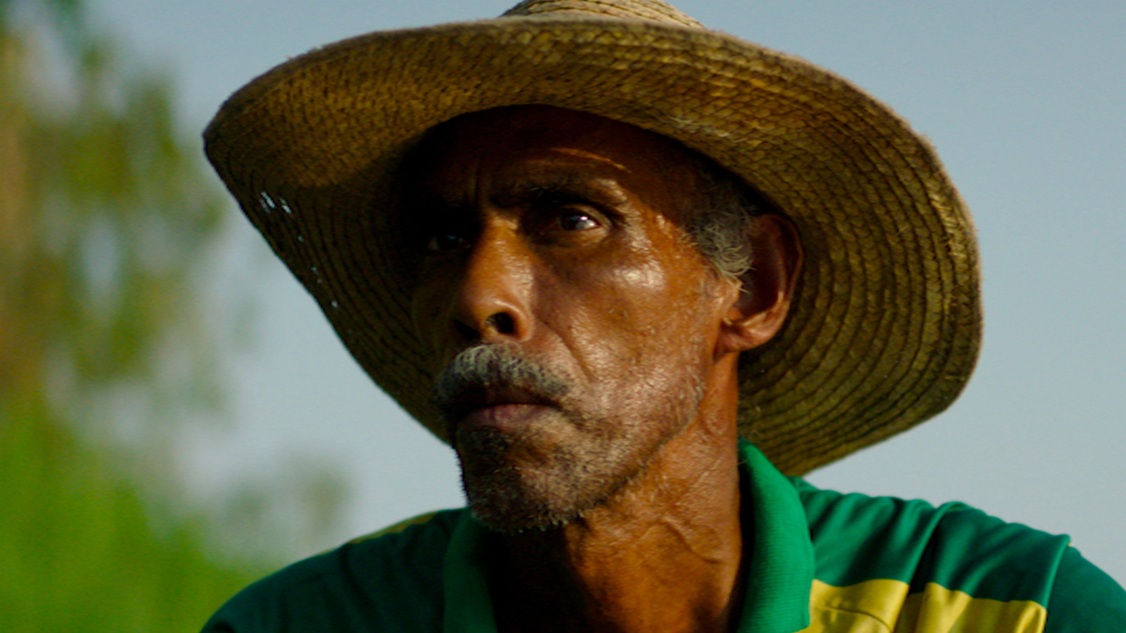 Tantas Almas Background