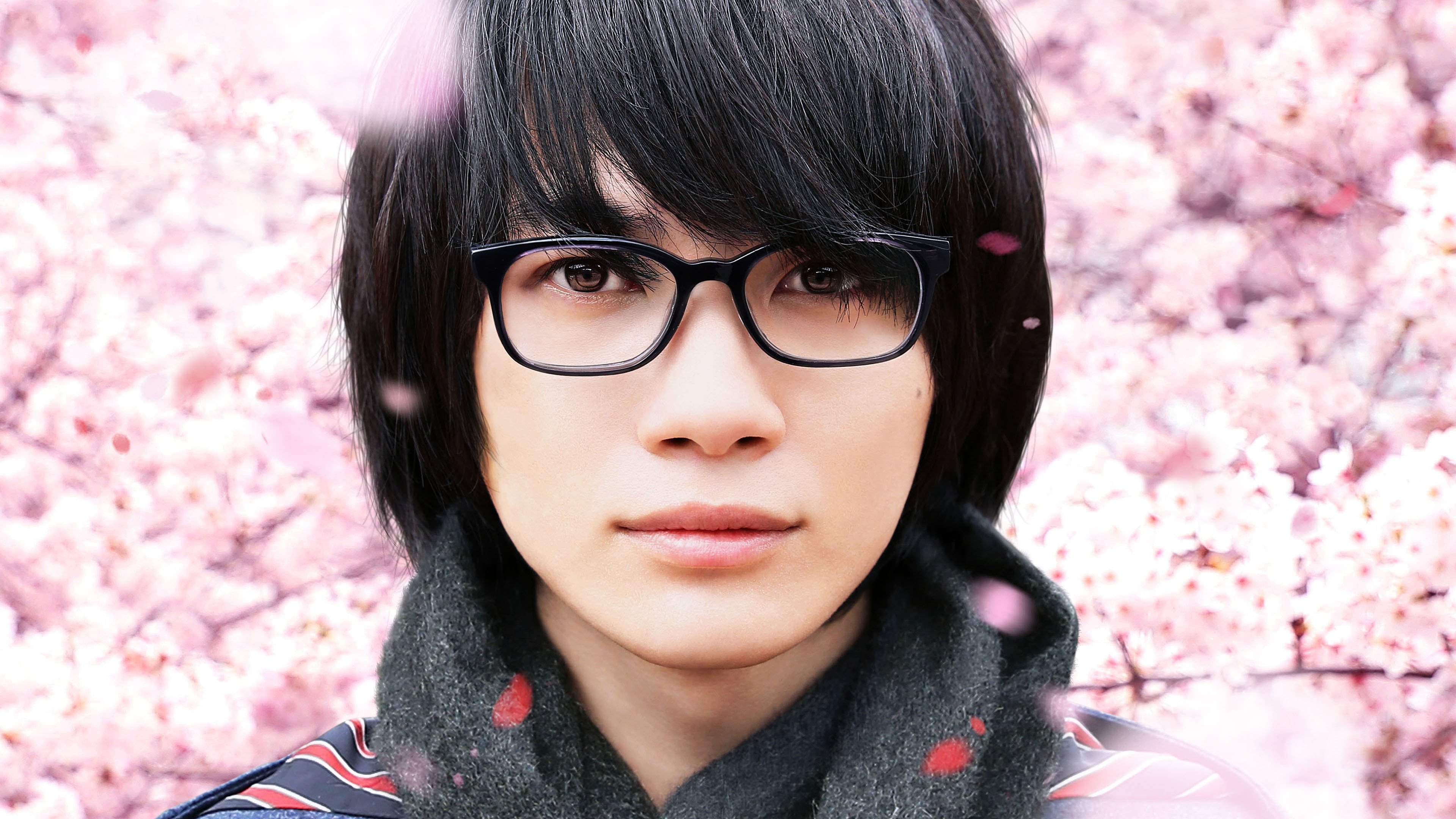 March Comes In Like a Lion Background