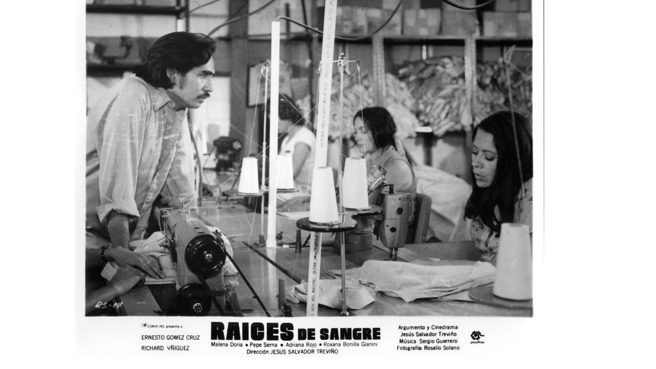 Raíces de sangre Background