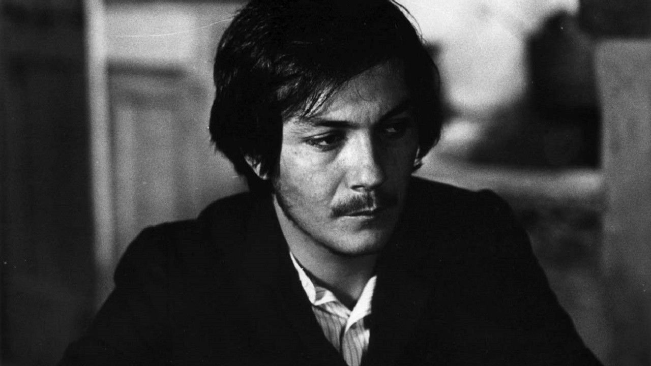 The Seagull Background