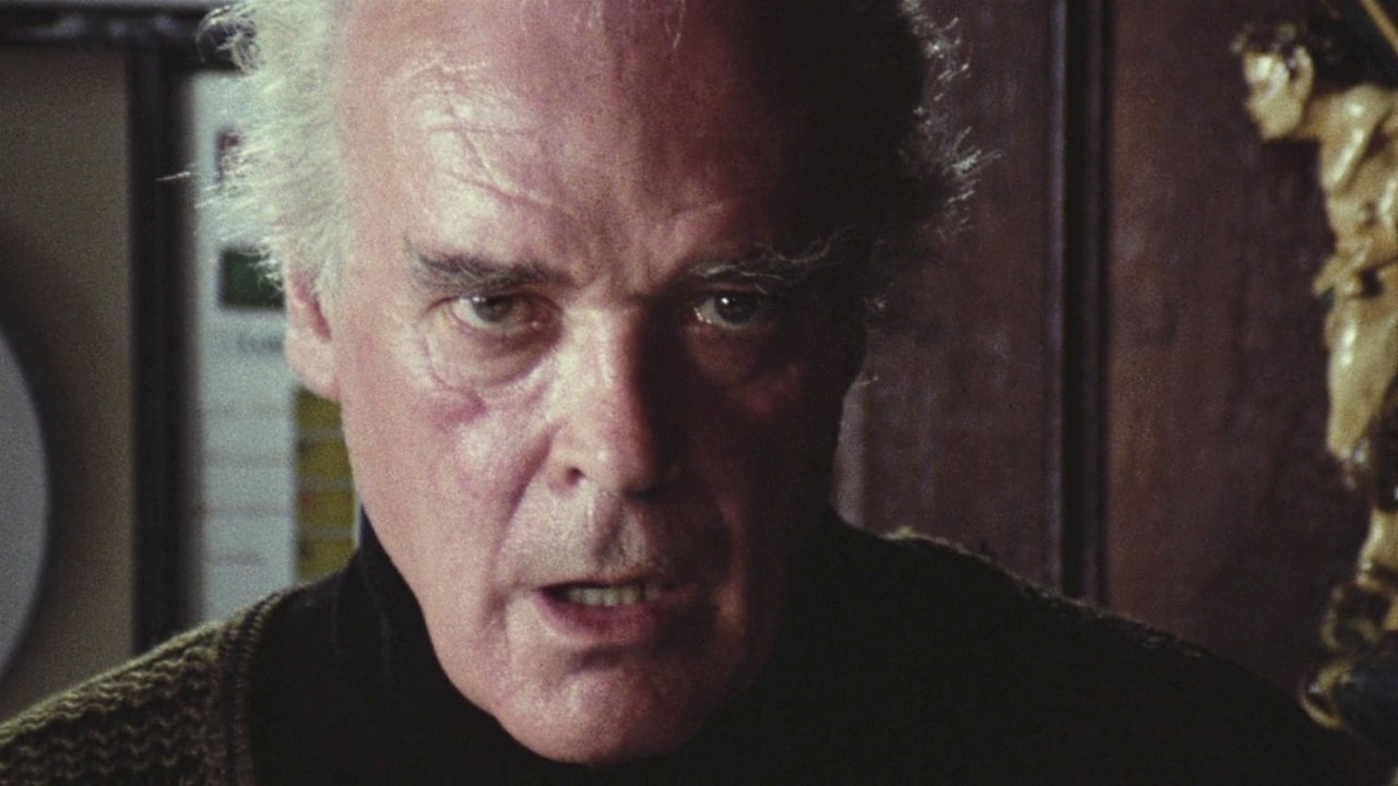 The Black Cat Background