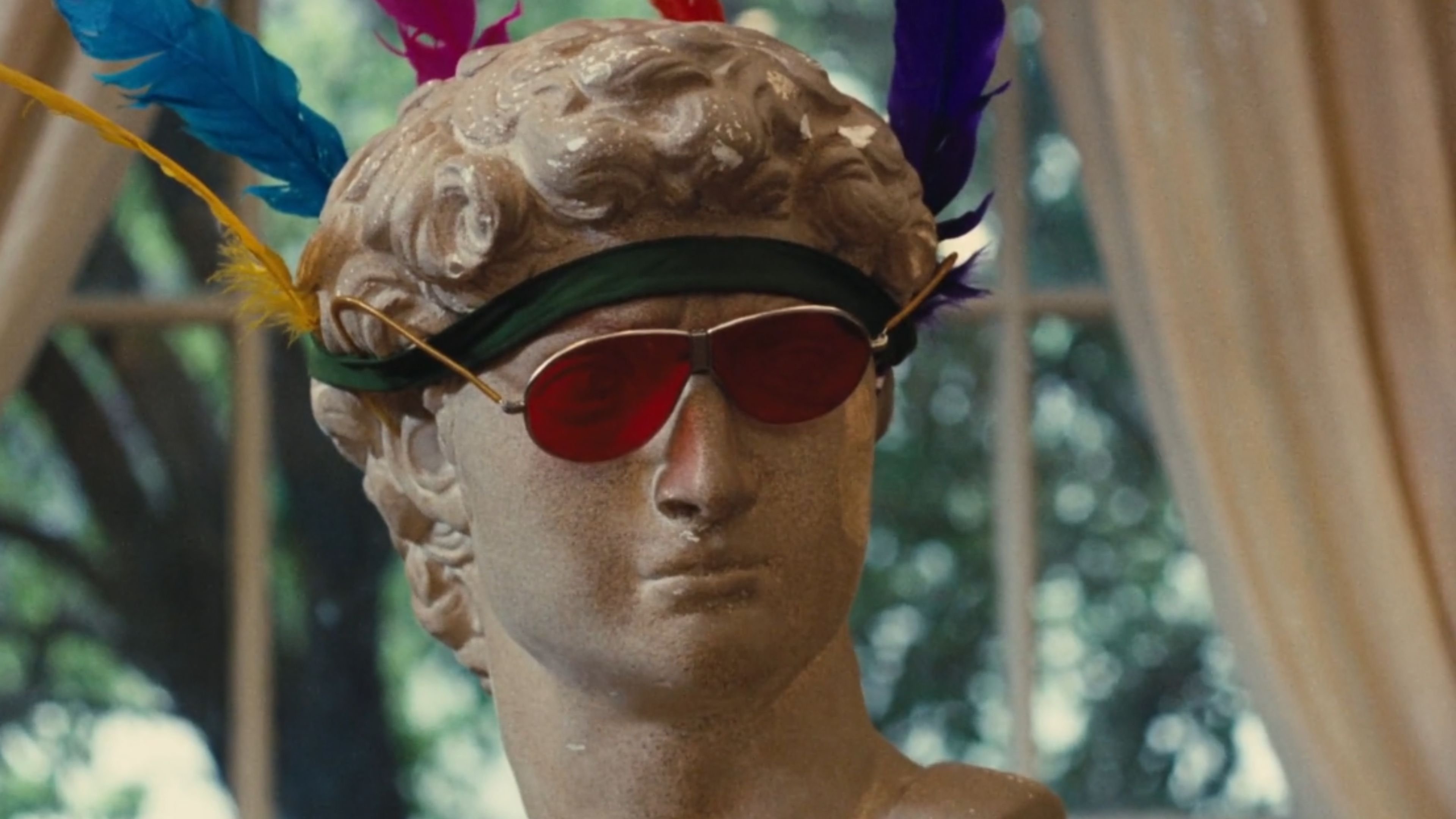 Lions Love Background