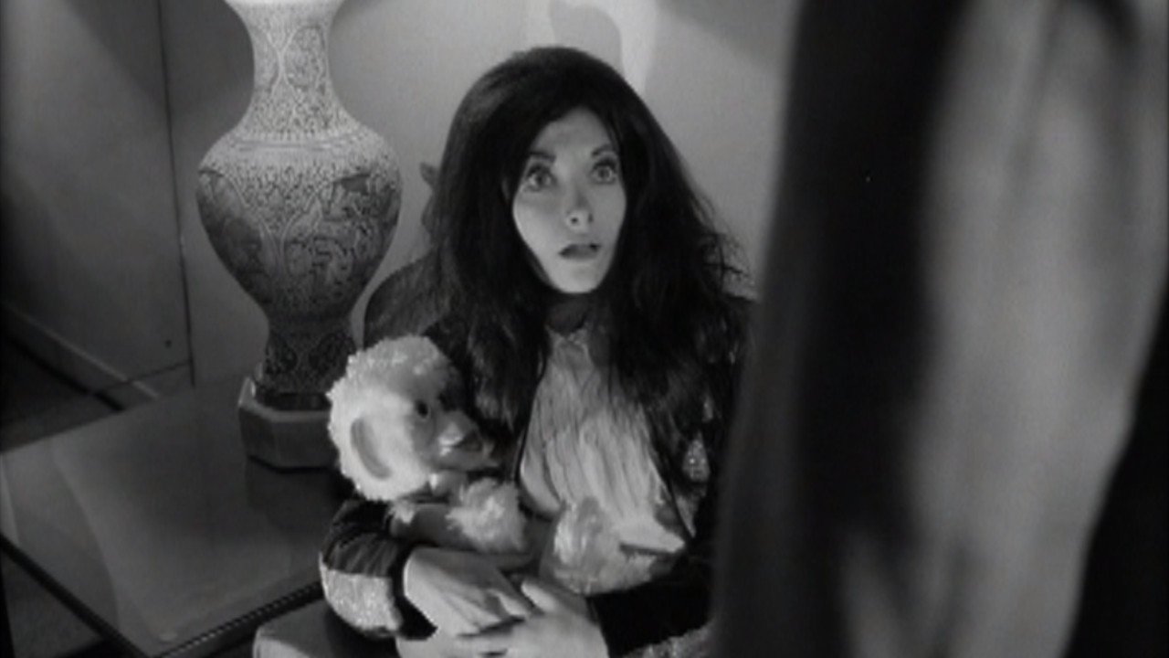 Confessions of a Psycho Cat Background