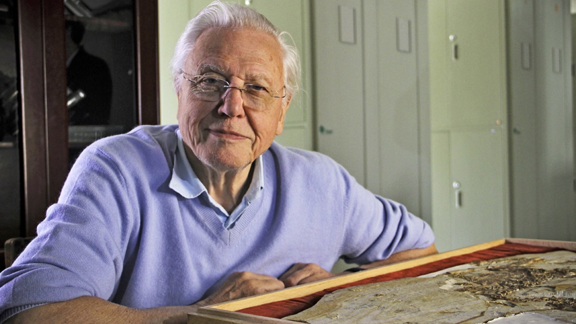 David Attenborough's Rise of Animals: Triumph of the Vertebrates Background