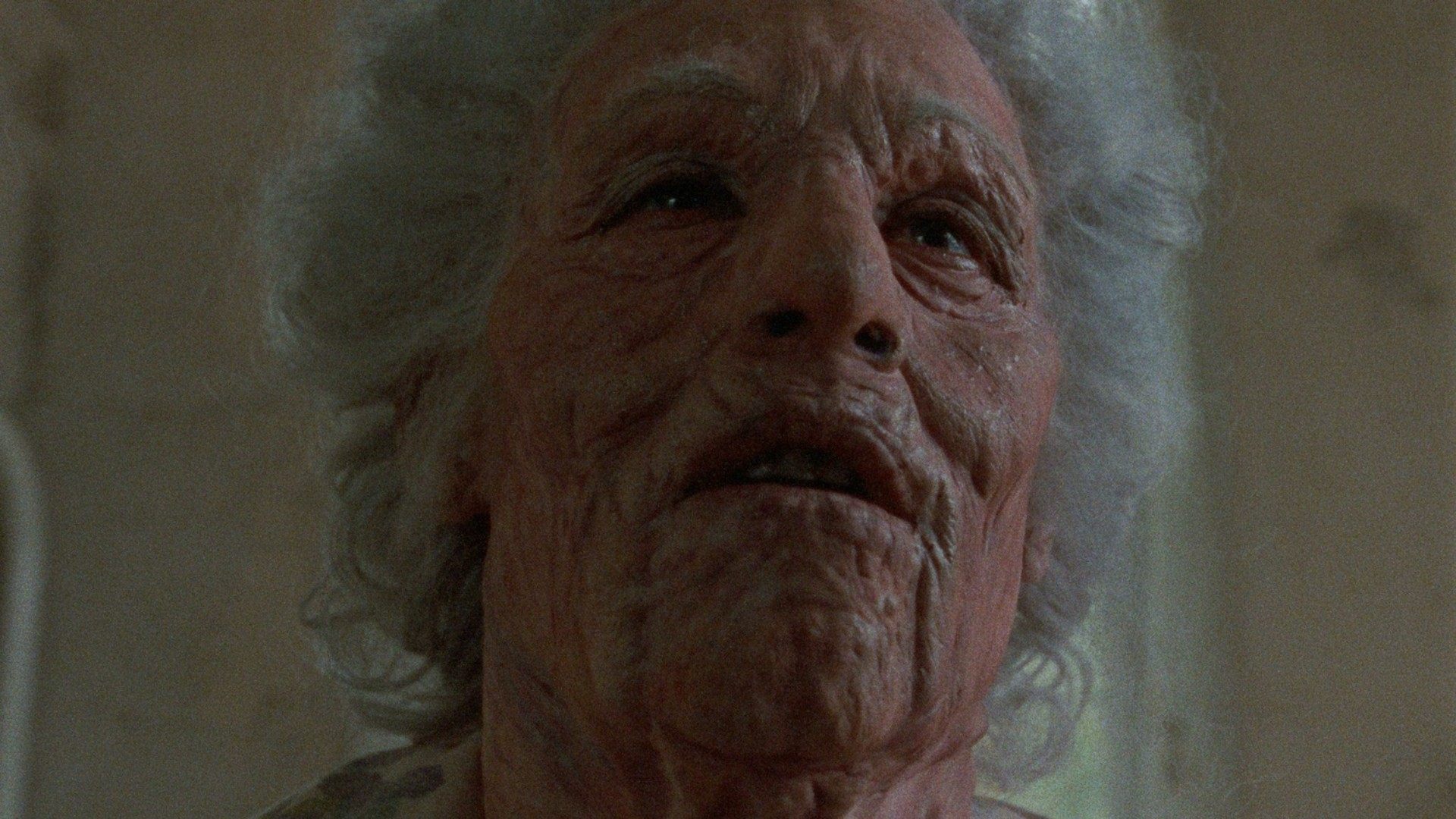 The Dead Come Home Background