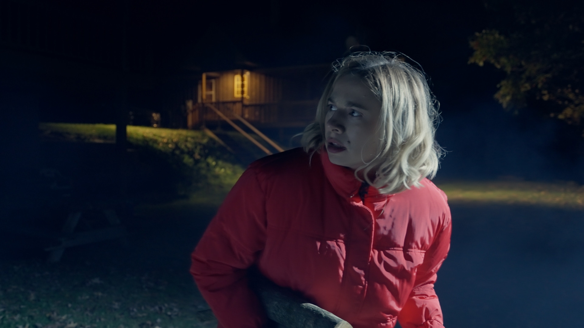 Gentleman Caller Background