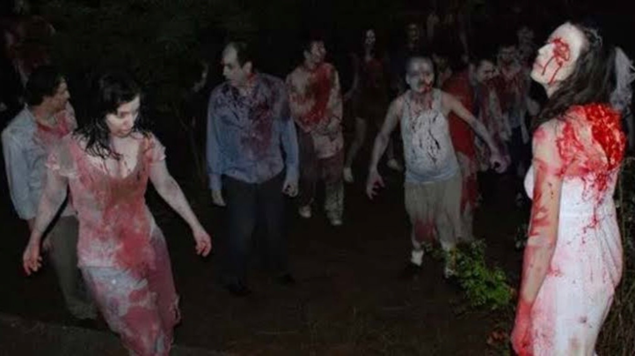 Island: Wedding of the Zombies Background