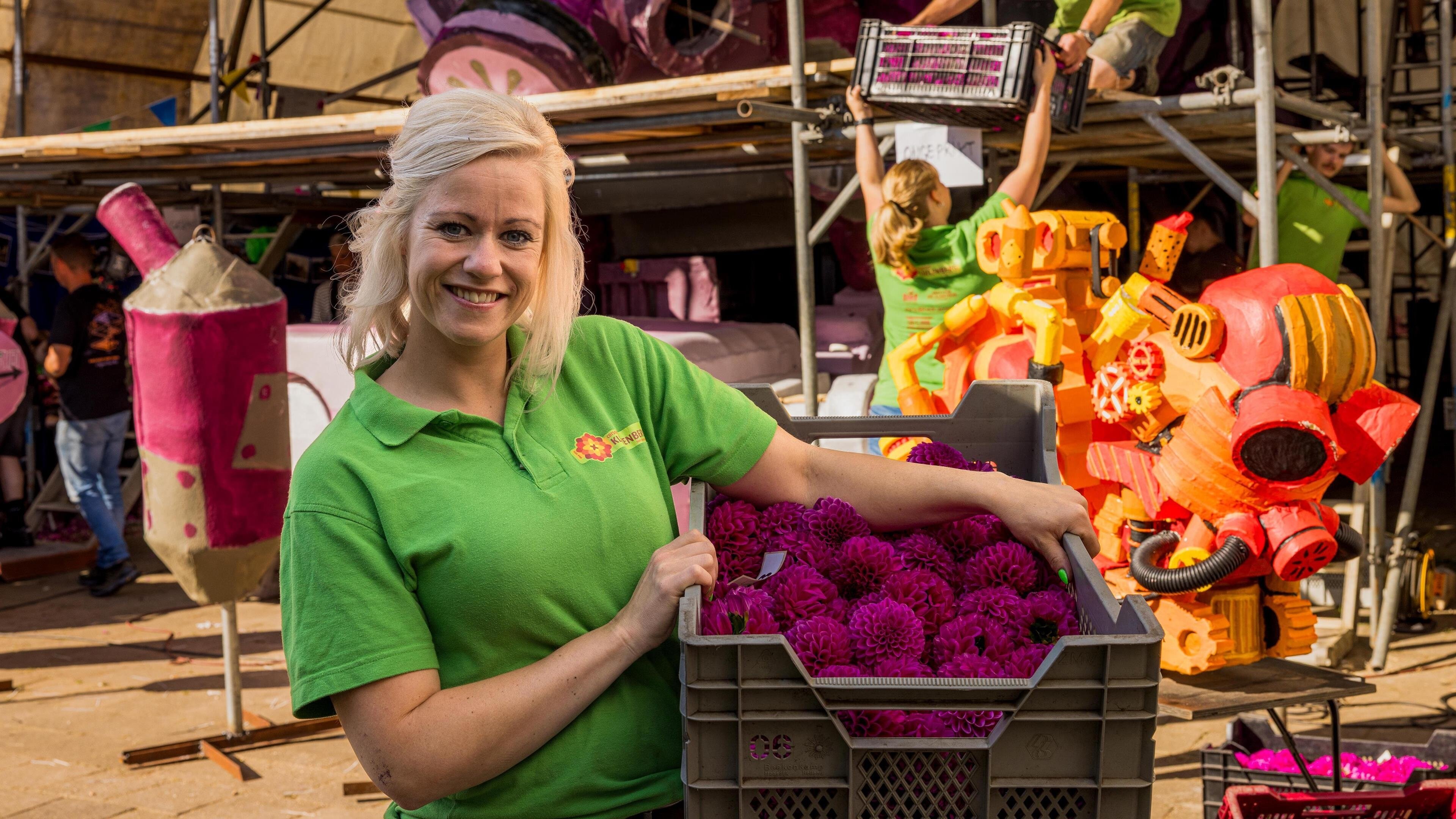 Corsokoorts in Sint Jansklooster Background