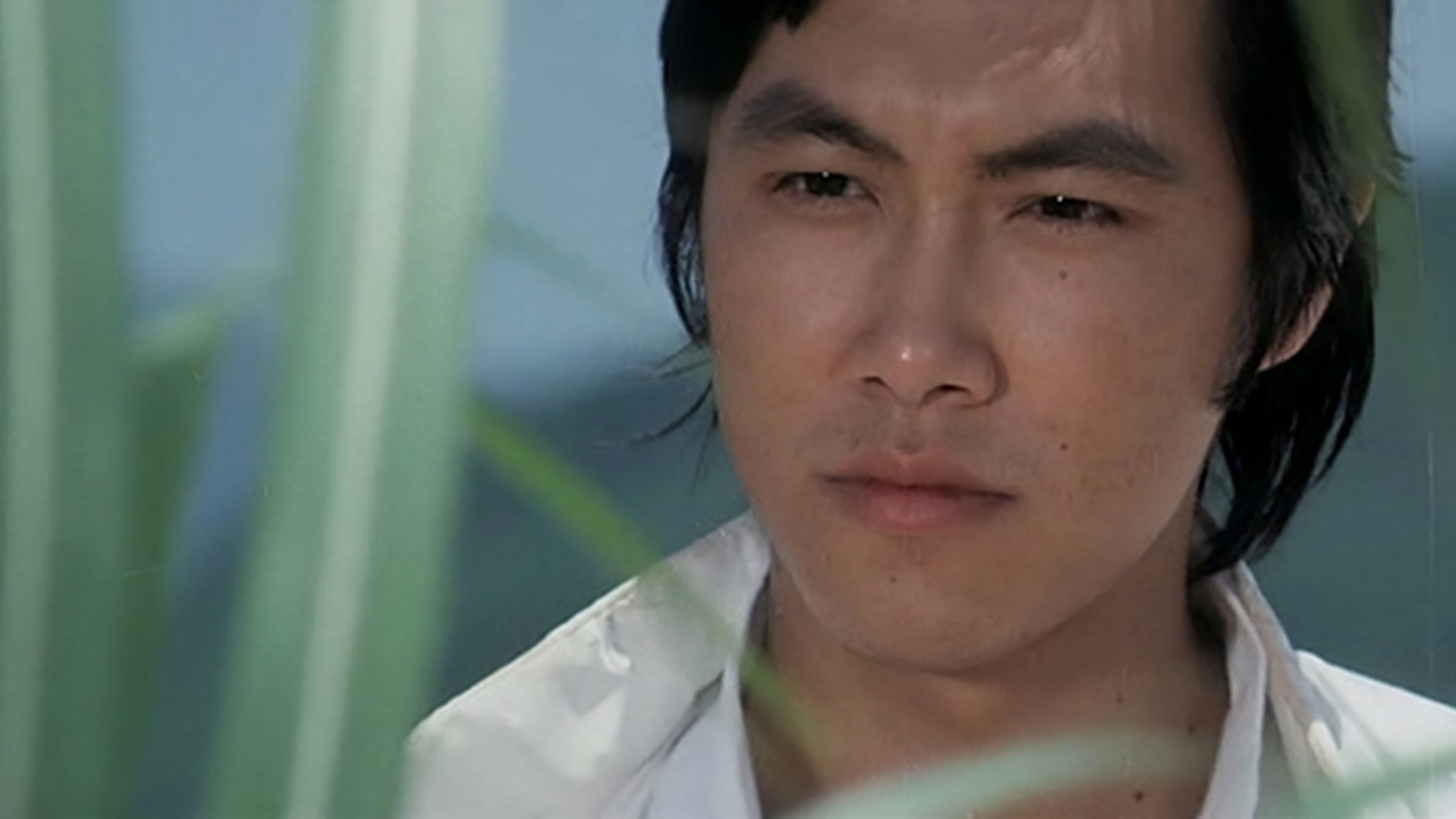 The Young Dragons Background