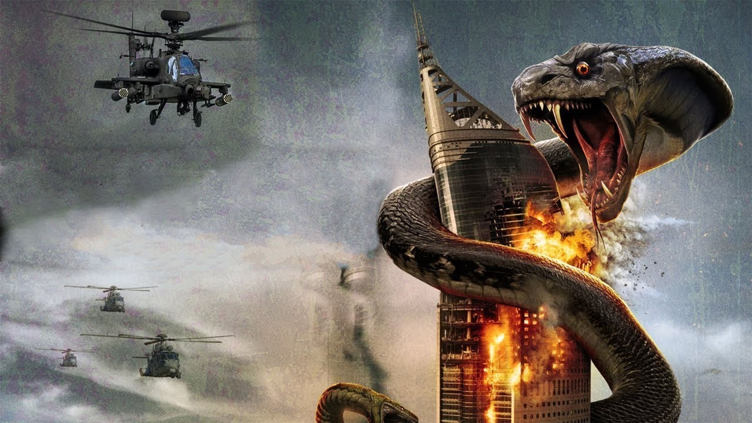 Snake Hotel Background