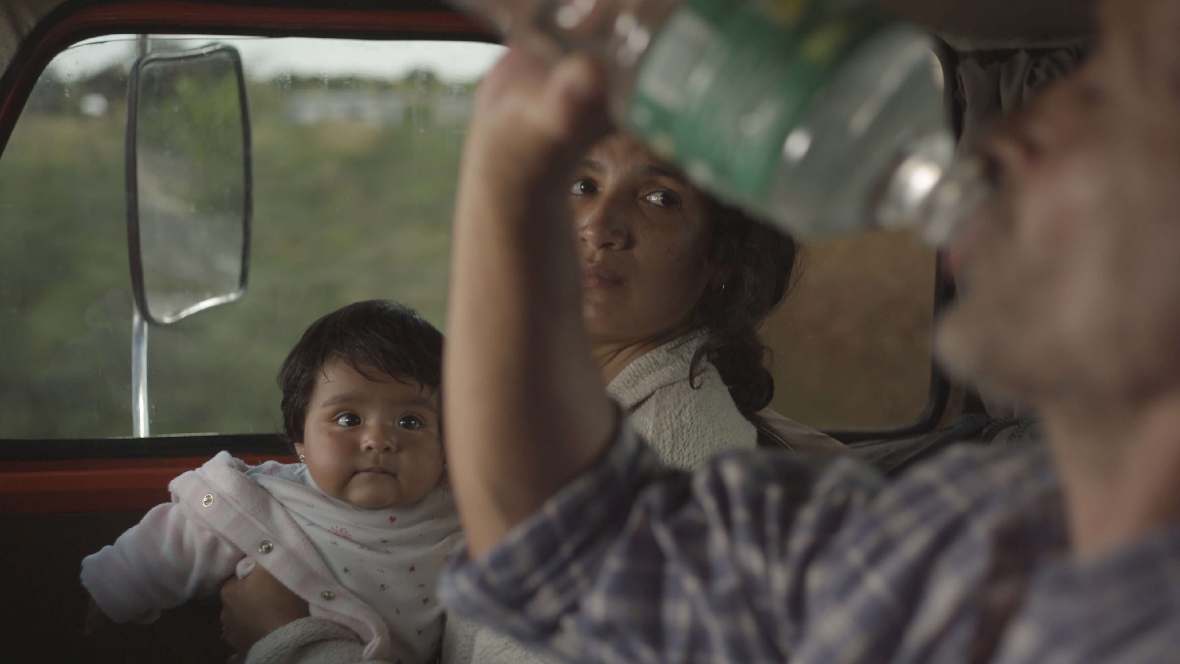 Las acacias Background