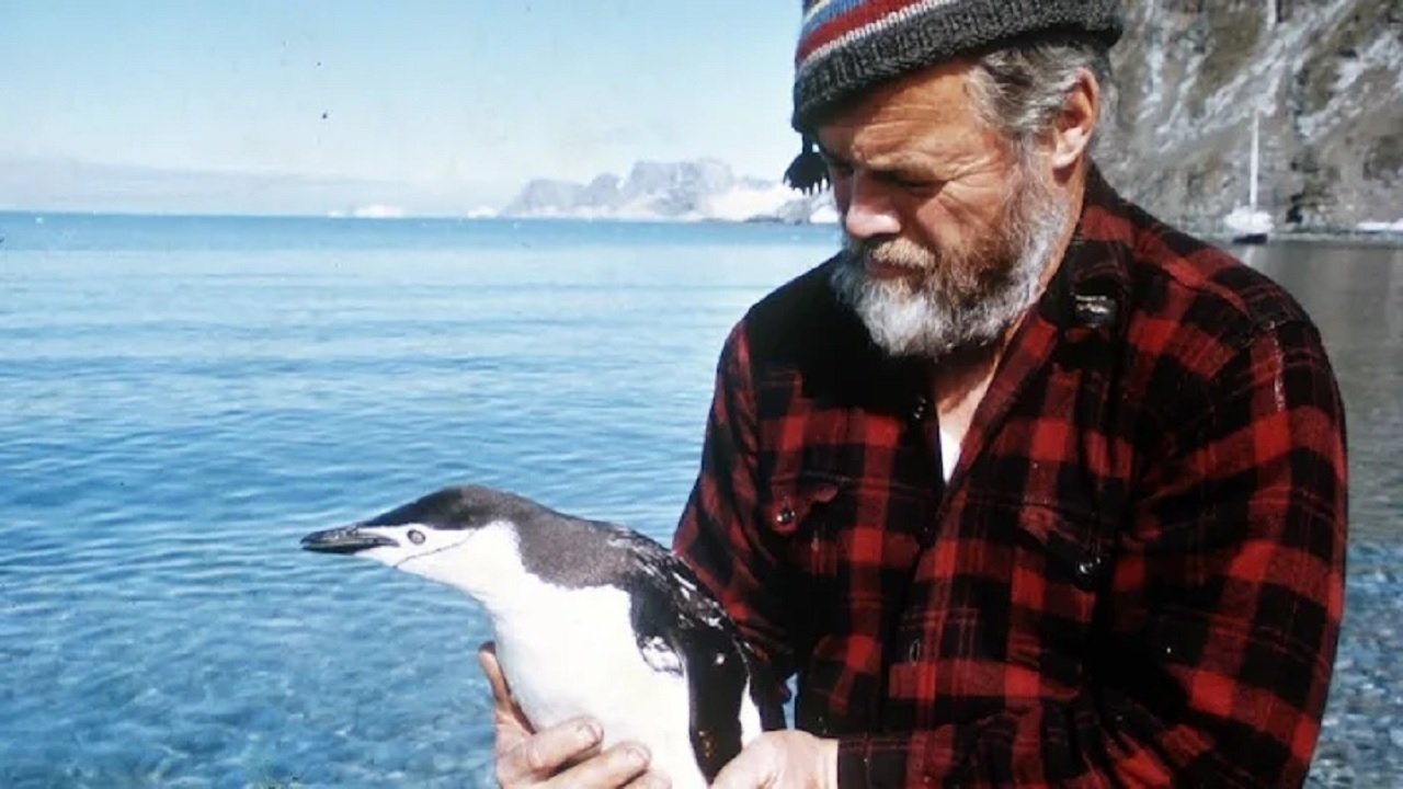 Following Seas Background