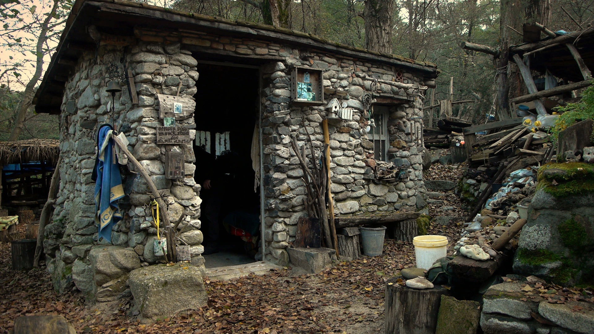 Voices from the Silence Background