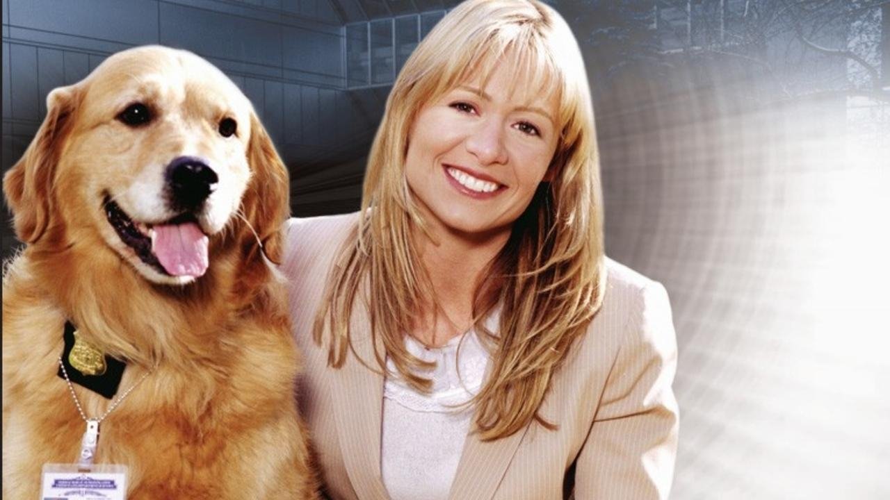 Sue Thomas: F.B.Eye Background