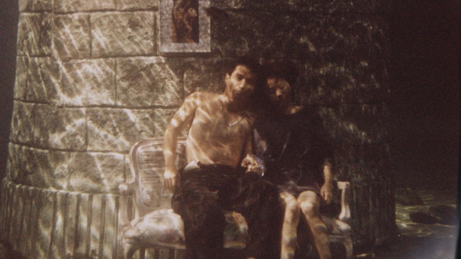 Crocodile Background