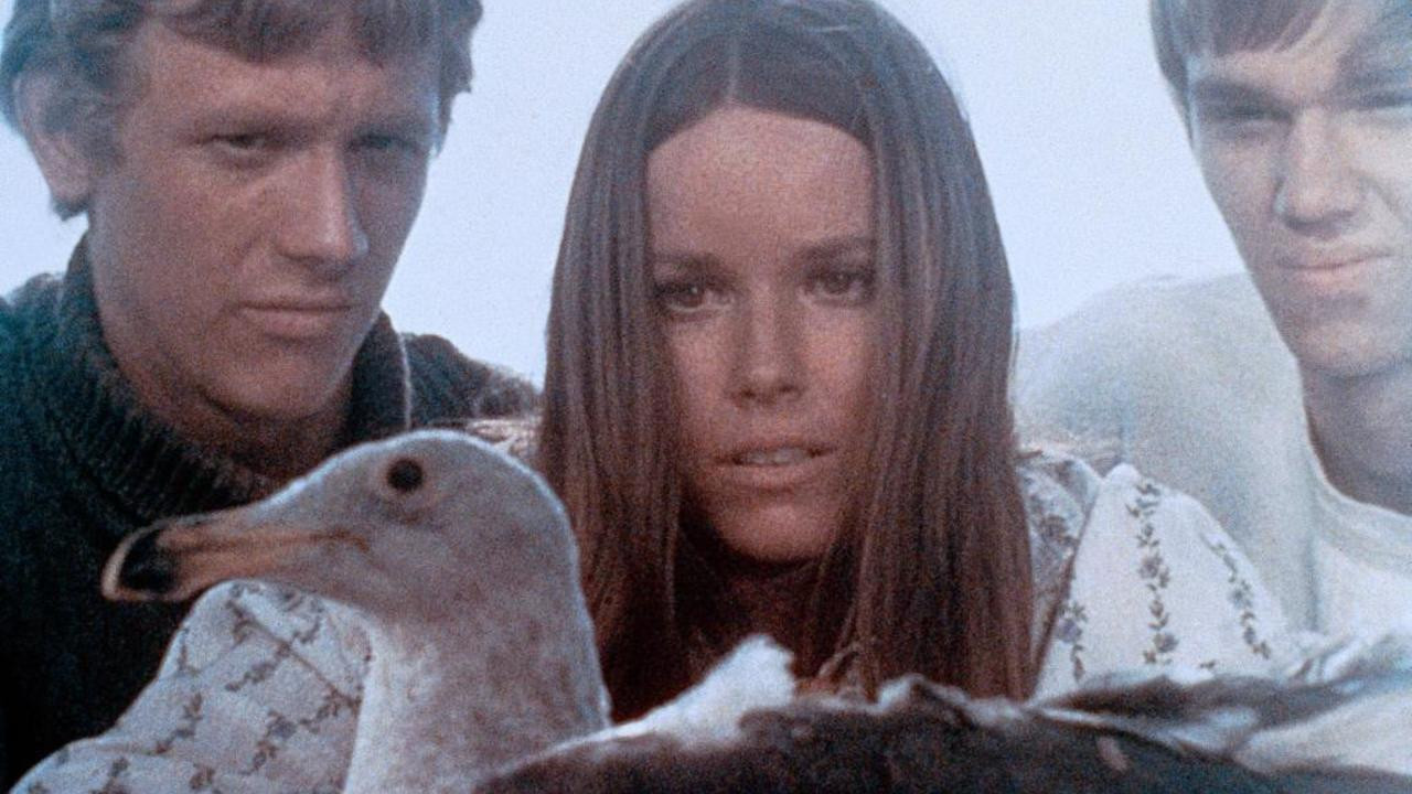 Last Summer Background