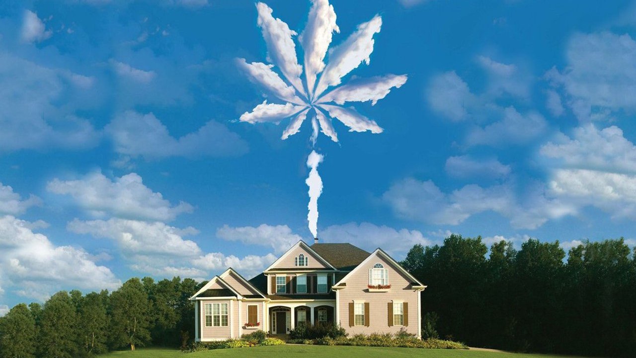 Growing Op Background