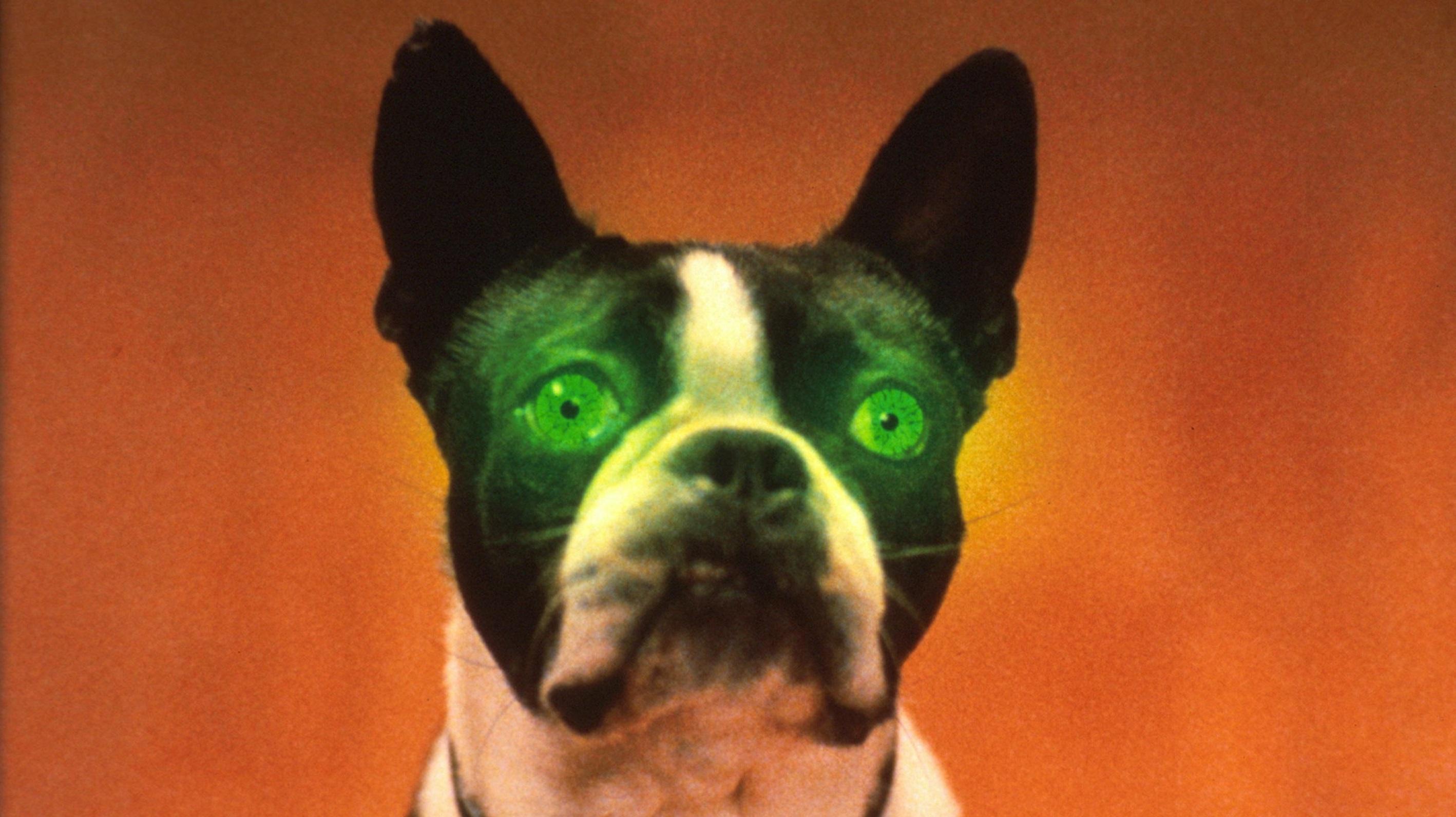 The Convent Background