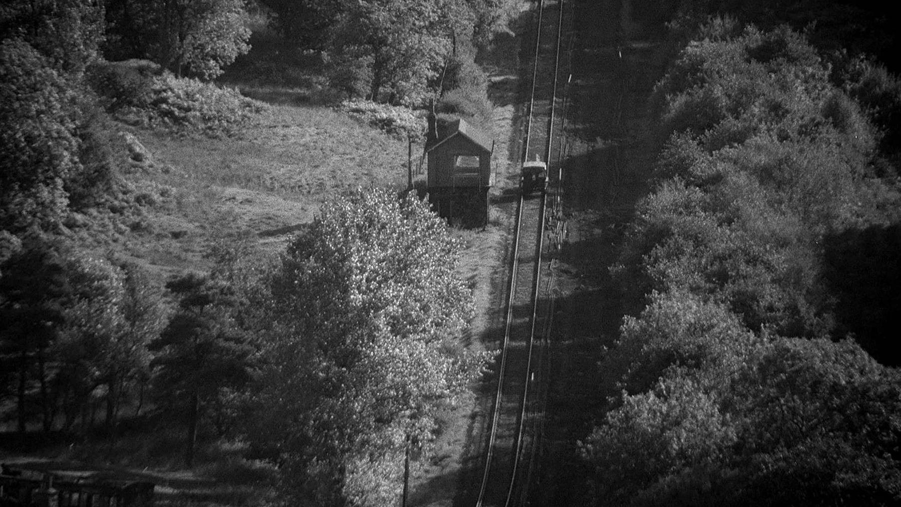 Loving Memory Background